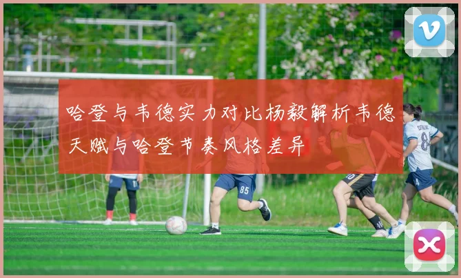 哈登与韦德实力对比杨毅解析韦德天赋与哈登节奏风格差异